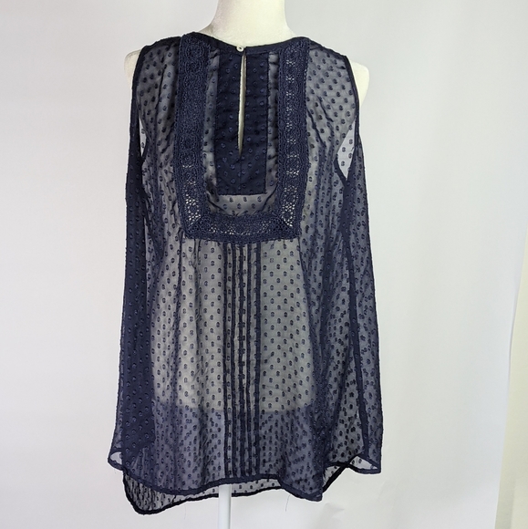 Daniel Rainn Tops - Daniel rainn sheer tunic with embroidery and lace